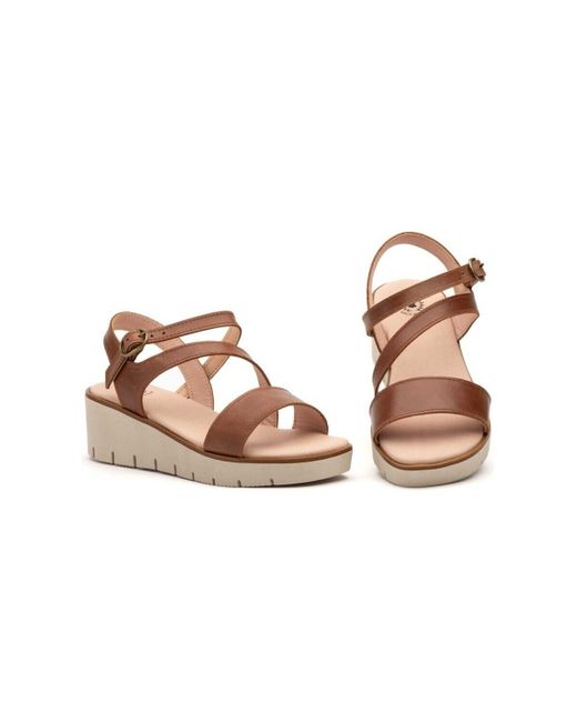 Sandales Cbp - Conbuenpie en coloris Brown