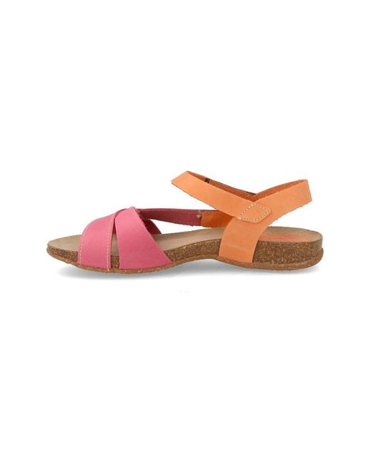 Sandales Interbios en coloris Pink