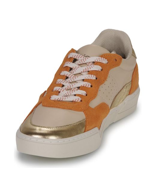Fericelli Brown Sneaker Dame