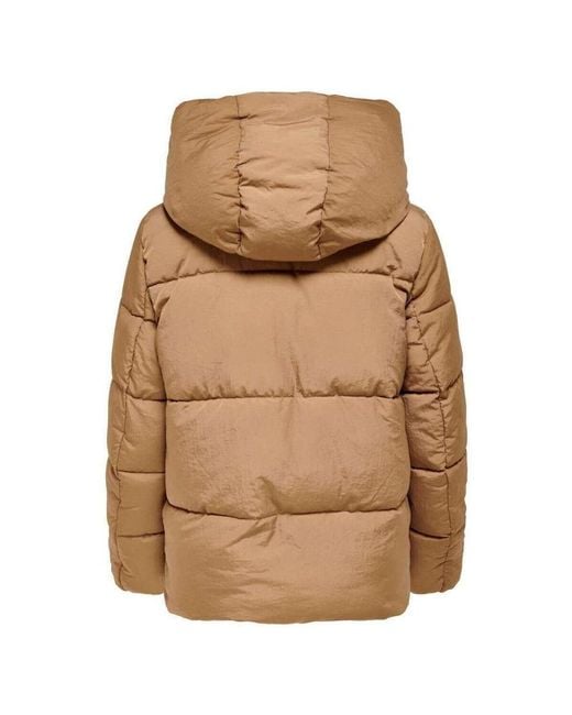 Veste 6347402 ONLY en coloris Brown