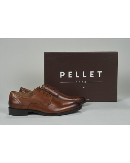 Pellet Herrenschuhe Sacha in Brown für Herren