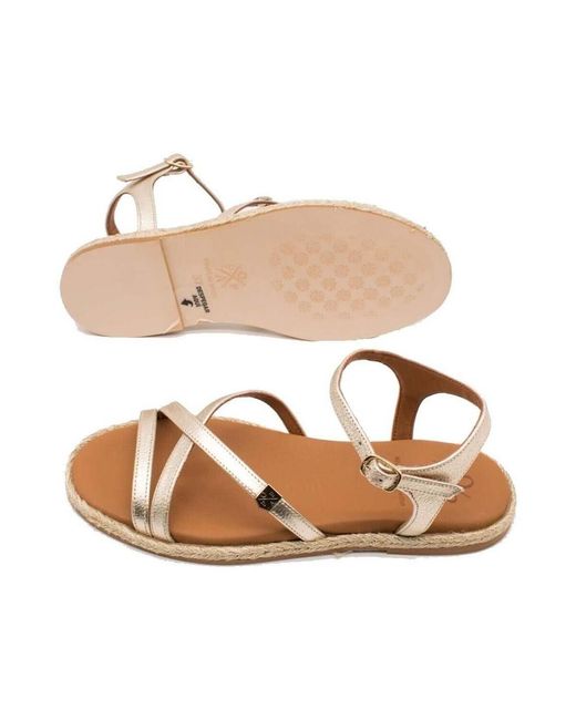 Baskets Ms18601-103 POPA en coloris Brown