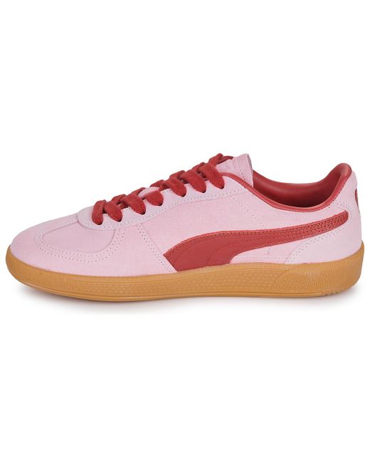 Baskets basses Palermo PUMA en coloris Pink