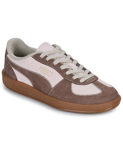 Baskets basses Palermo Wine Club Wns PUMA en coloris Gray