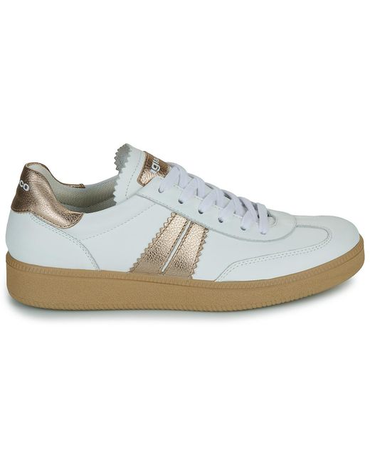 Igi&co Blue Sneaker D.Atala