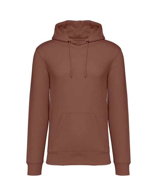Sweat-shirt PC5121 NATIVE SPIRIT pour homme en coloris Brown