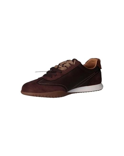 Baskets Basses 60041 MTNG en coloris Brown