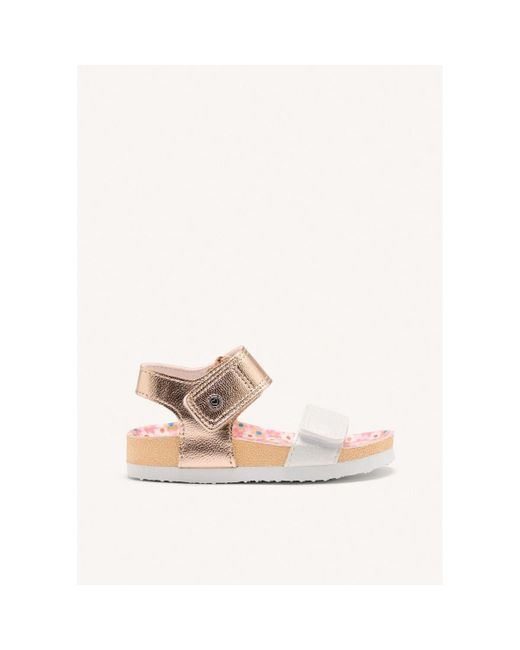 Tongs HAYNES Gioseppo en coloris White