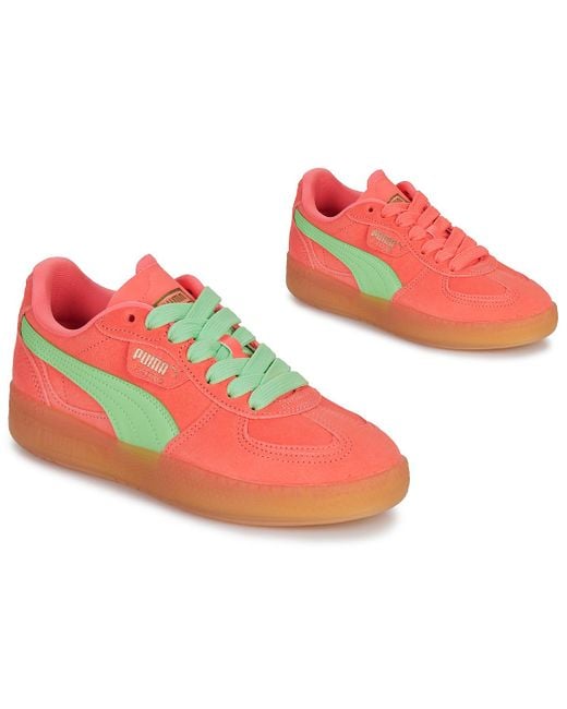 PUMA Lage Sneakers Palermo Moda Xtra Gum Wns in het Red
