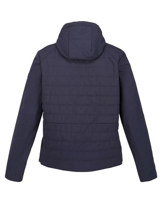 Blouson Daxford Regatta pour homme en coloris Blue