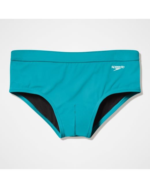 Speedo Blue The Briefs for men