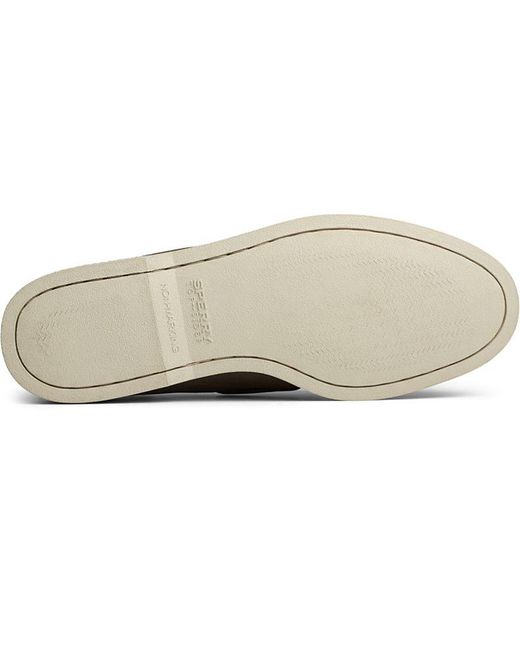 sperry rivingston
