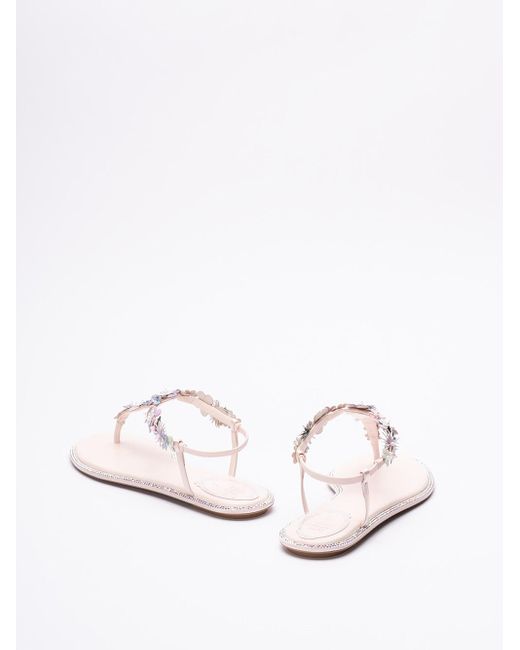 Thong Sandals di Rene Caovilla in White