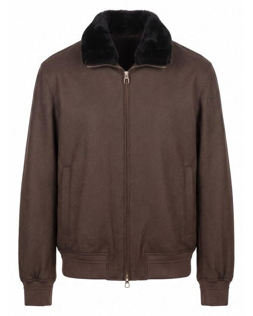 Montecore Brown Jacket for men
