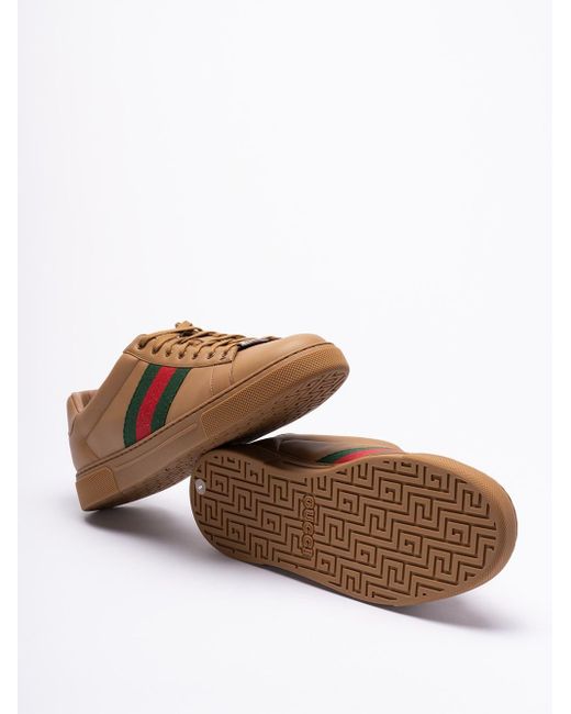 Gucci Brown ` Ace` Sneakers for men