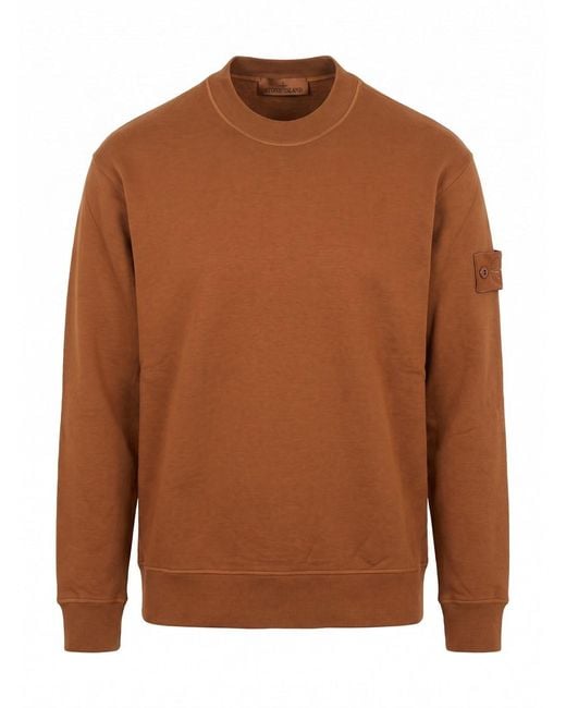 Stone Island Brown S.I. Ghost Sweatshirt for men