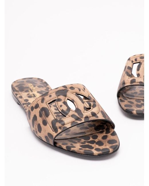Dolce & Gabbana White Dolce & Gabbana Sliders With 'Dg' Logo