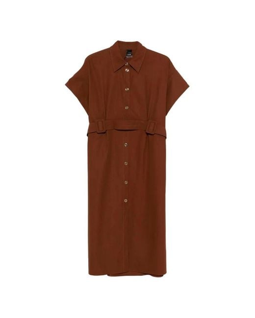 Pinko Brown Alesha Midi Wide-Sleeve Fabric Dress