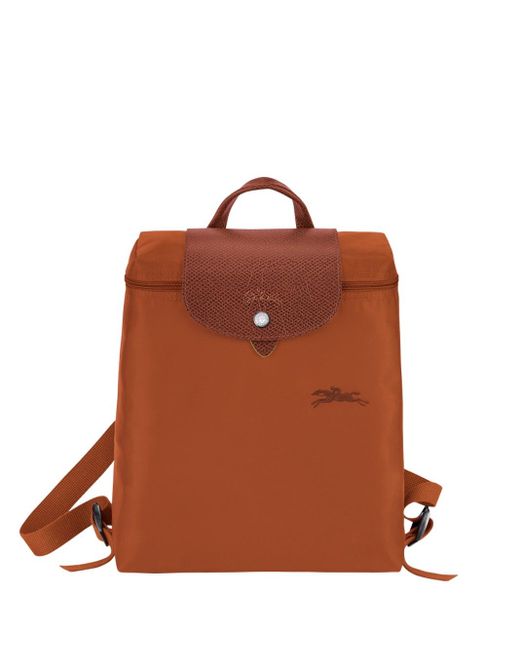 Longchamp Brown Le Pliage Green Backpack