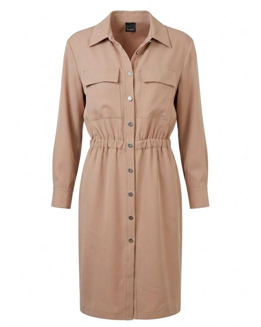 Pinko Natural Arum Dress