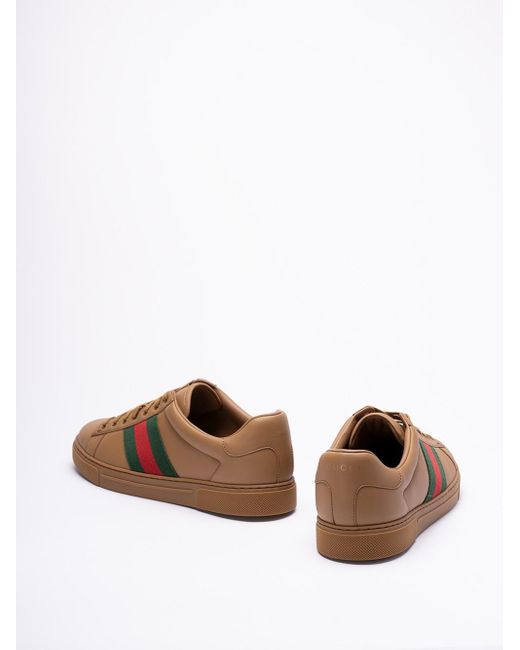 Gucci Brown ` Ace` Sneakers for men