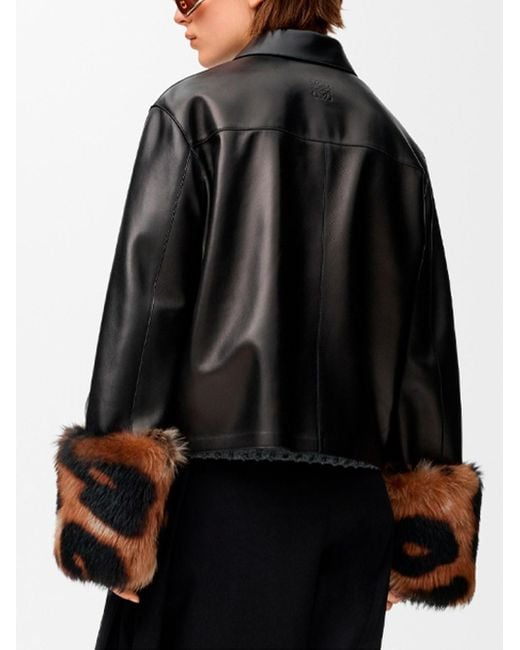Loewe Black Turn-Up Jacket