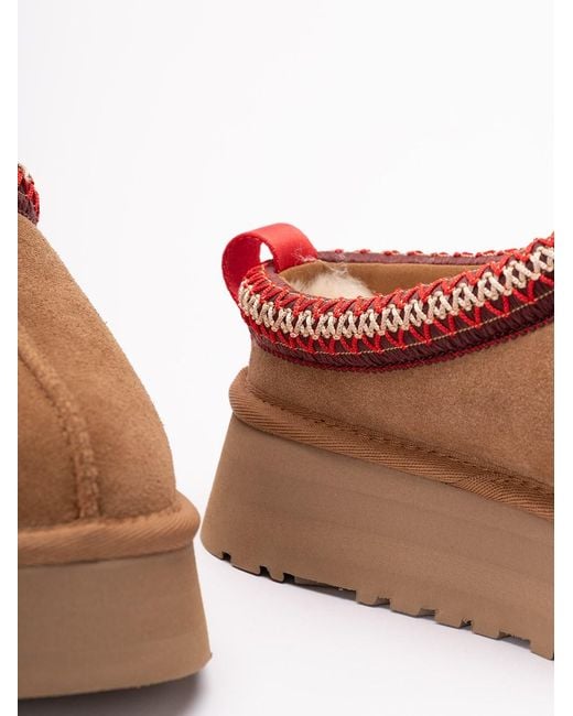 Ugg Brown Tazz Ll Slippers