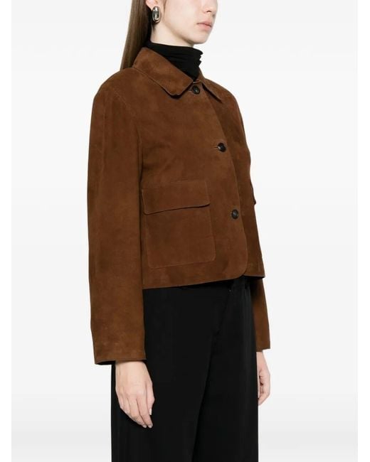 Tagliatore Brown Leather Jacket