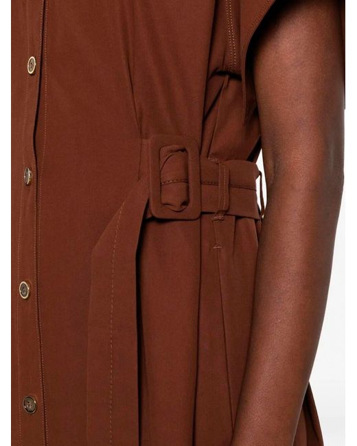 Pinko Brown Alesha Midi Wide-Sleeve Fabric Dress