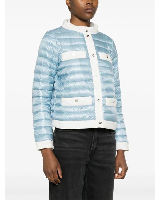 Herno Blue Contrasting-trim Quilted Jacket