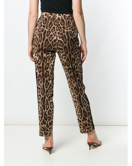 Dolce & Gabbana Brown Pants