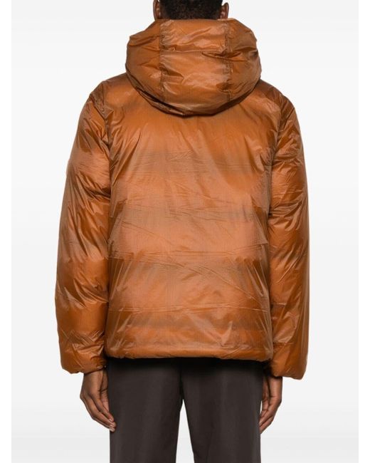Rains Brown 'Kevo' Padded Jacket for men