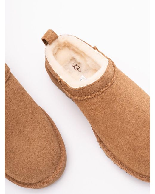 Ugg Brown Classic Micro Slippers