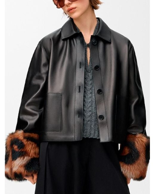 Loewe Black Turn-Up Jacket