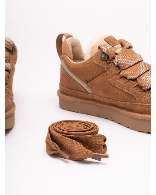 Ugg Brown Lowmel Sneakers