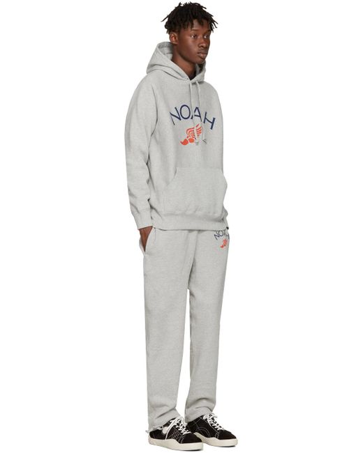 Noah Grey Jolly Wingfoot Hoodie in Gray for Men | Lyst