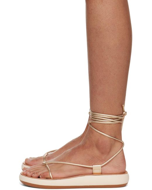 Ancient Greek Sandals Brown Gold Diakopes Comfort Sandals