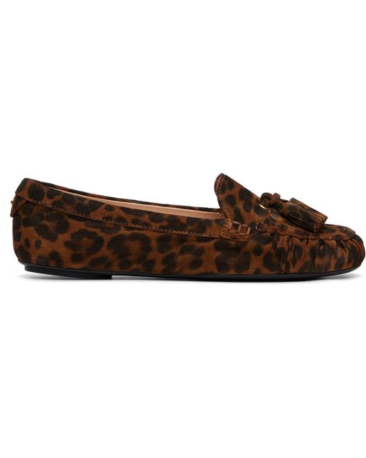 Gianvito Rossi Brown Thèa Loafers