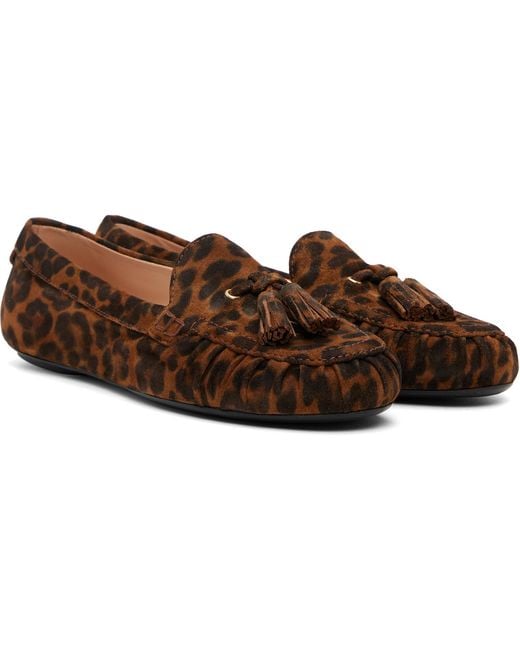 Gianvito Rossi Brown Thèa Loafers