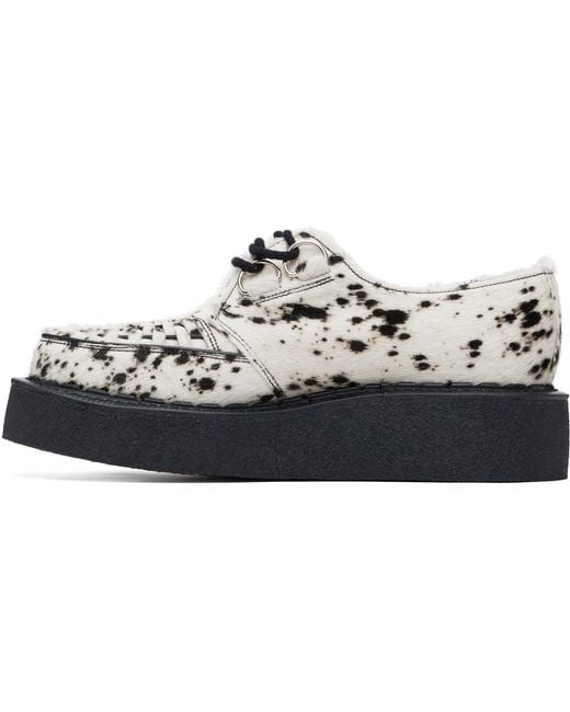 George Cox Black Skipton Derbys for men