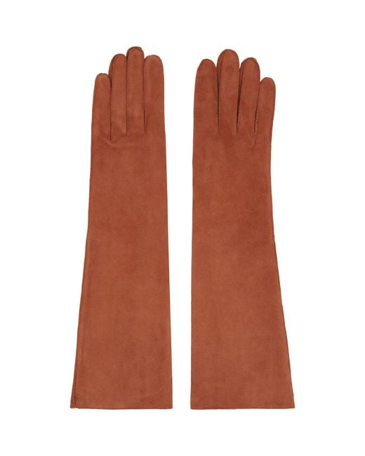 Lanvin Brown Long Slim Suede Gloves