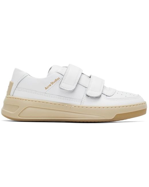 acne steffey