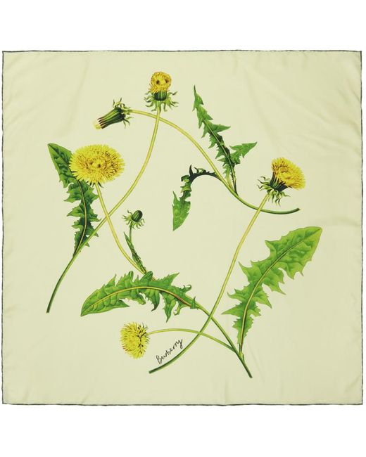 Foulard jaune en soie à images de fleur Burberry en coloris Green