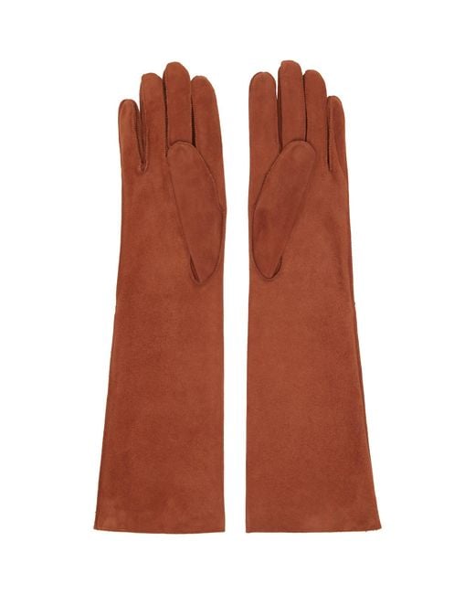 Lanvin Brown Long Slim Suede Gloves