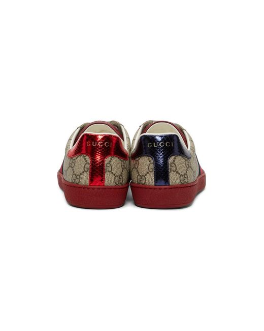 gucci trainers red