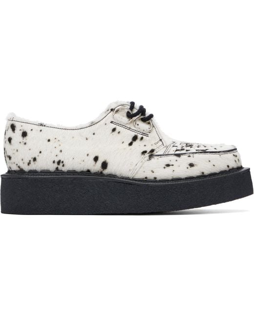 George Cox Black Skipton Derbys for men