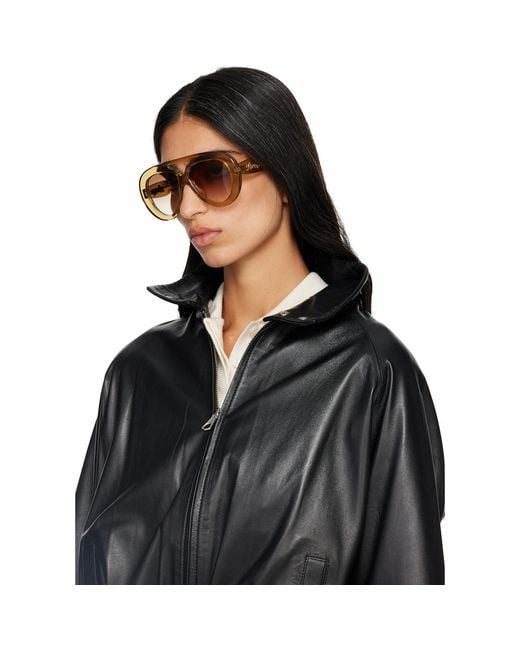 Loewe Brown Curvy Sunglasses