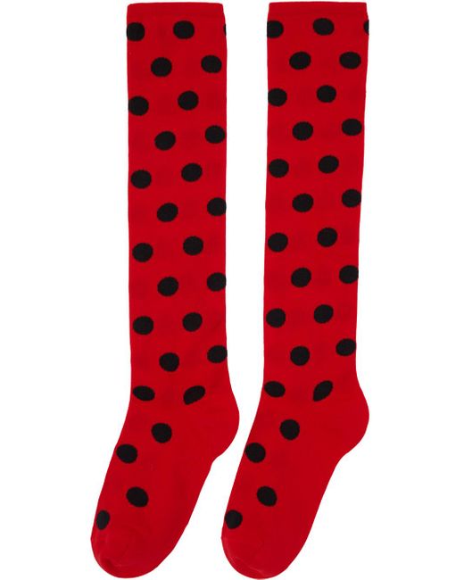 Marni Red & Black Polka Dots Socks