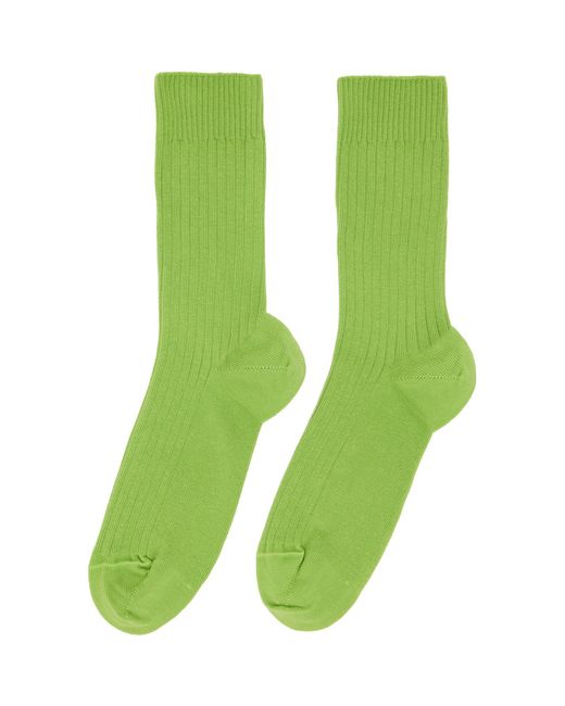 Baserange Blue Three-Pack Cotton Rib Overankle Socks