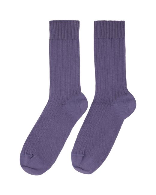 Baserange Blue Three-Pack Cotton Rib Overankle Socks